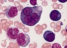 PATHOLOGY