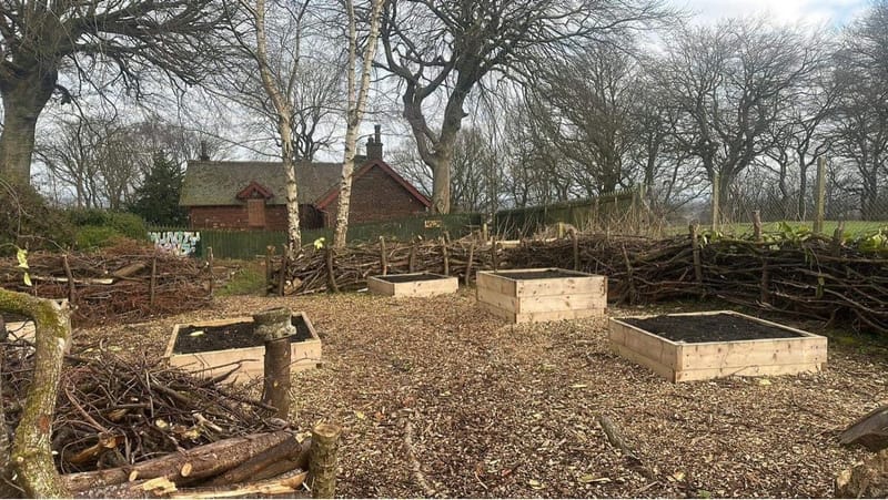 Community Growing beds