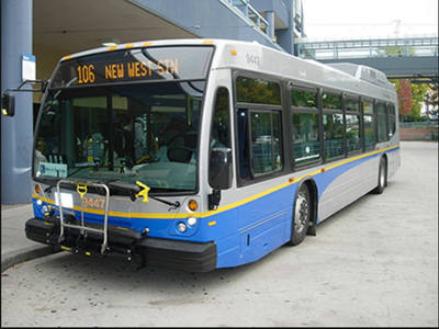 nathan's bus service
