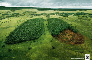 Cómo nos afecta la deforestación
