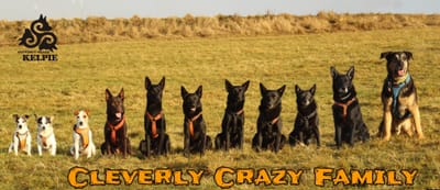 O nás/About us image