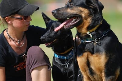 O nás/About us image