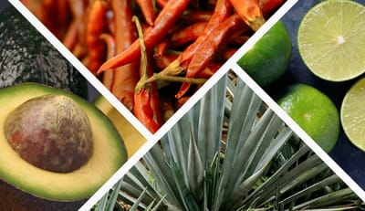 ¿QUE ES LA INGENIERÍA AGROINDUSTRIAL?