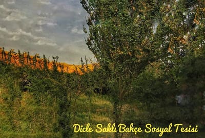 Hakkında image