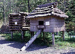 Ainu Housing and Food