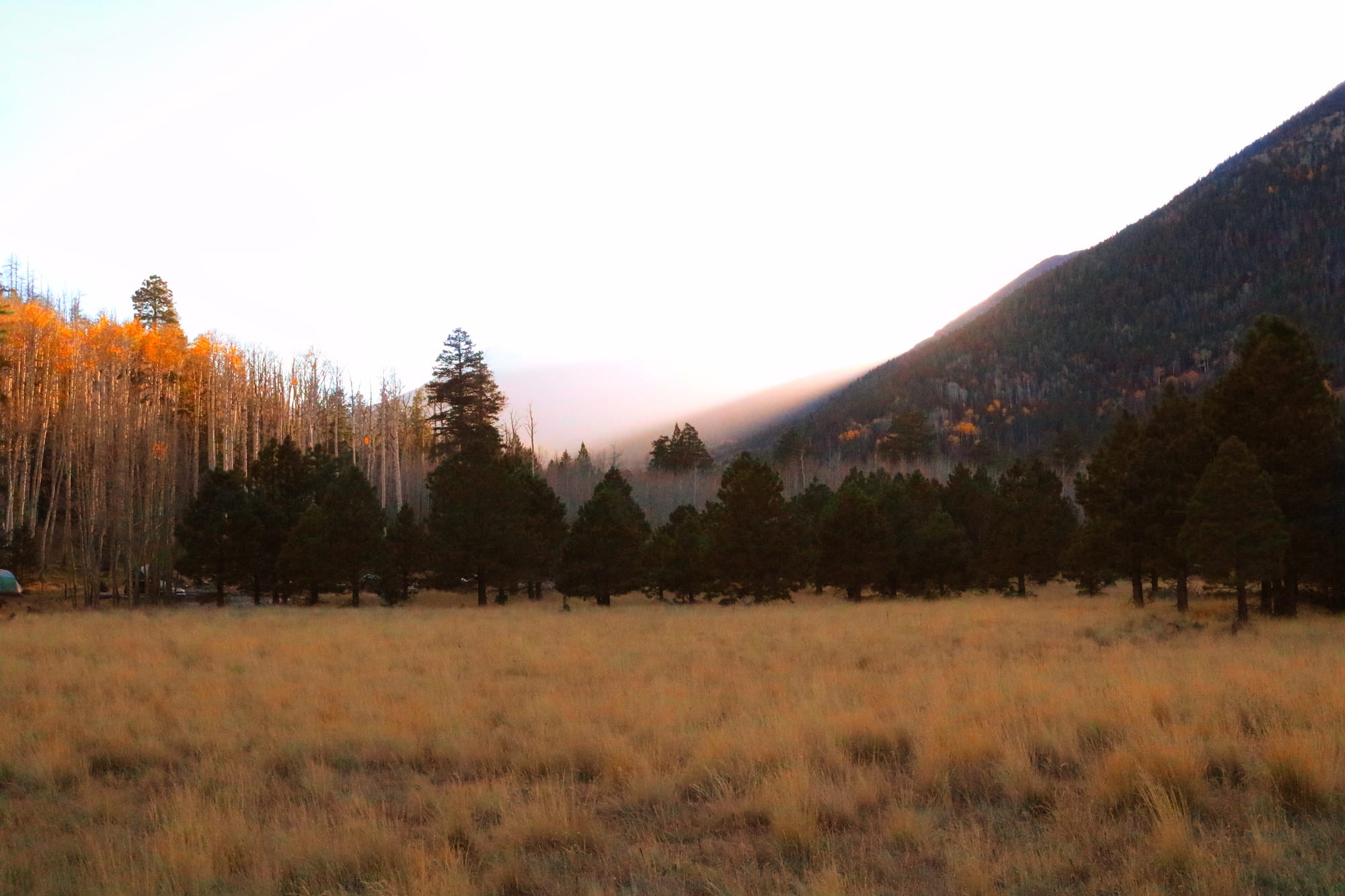 lockett meadow 2