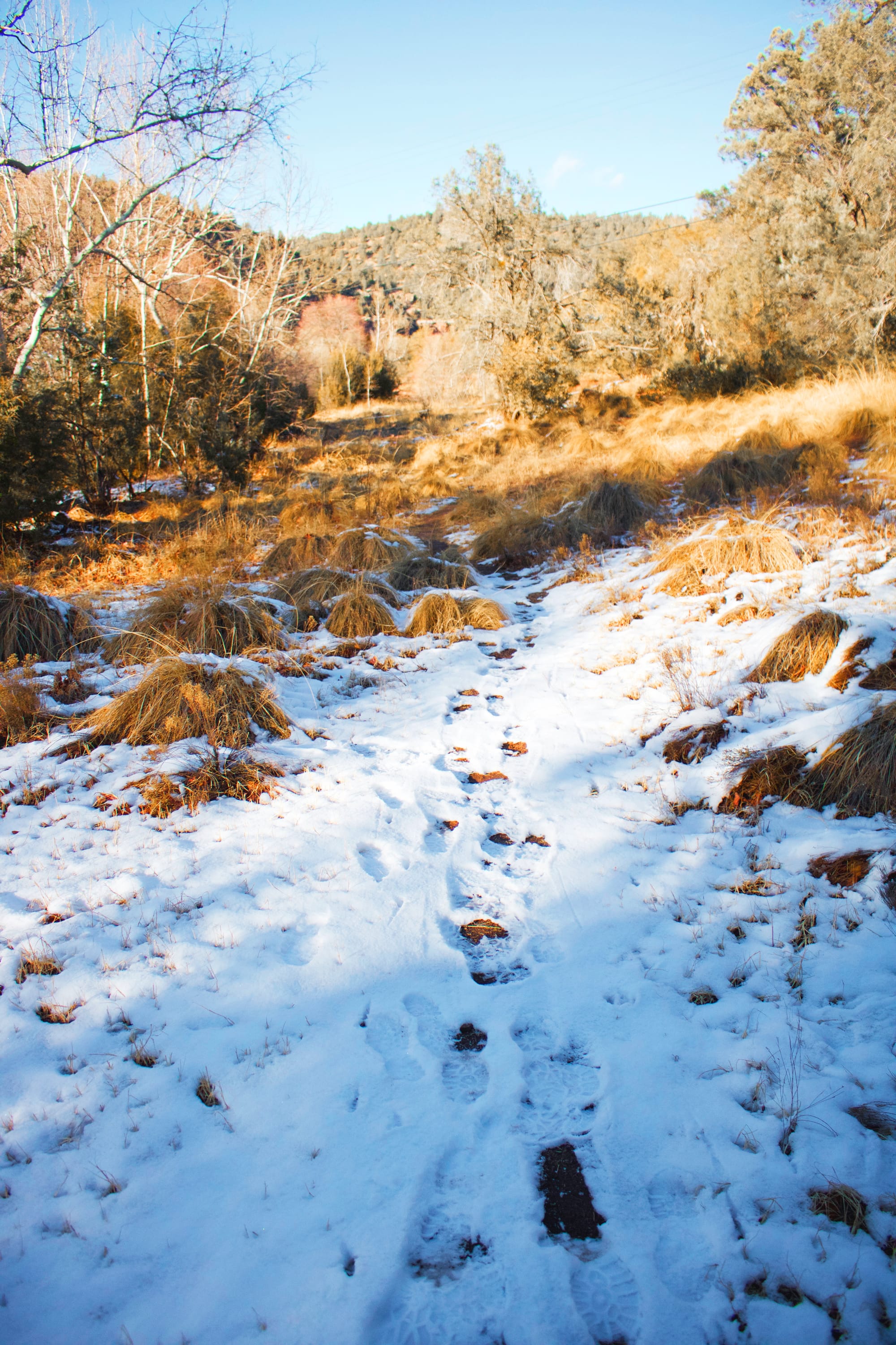 Footprints
