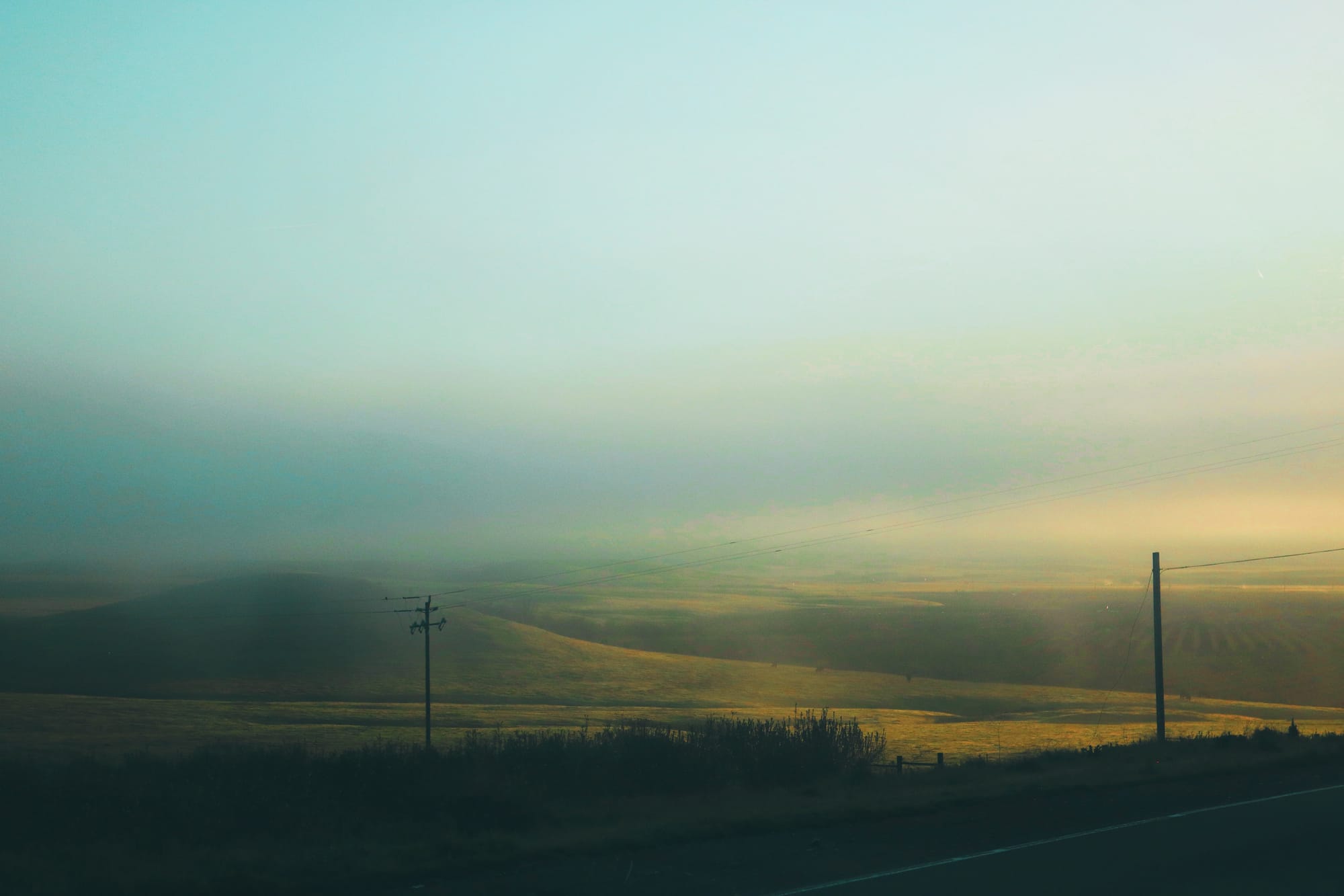 foggy foothills