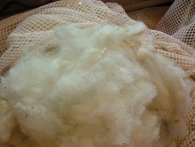 Products       image