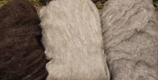 Products       image