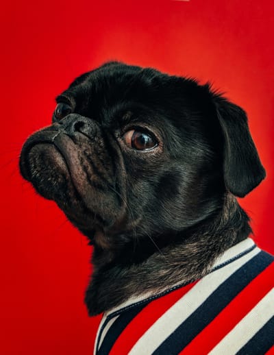 What are the most likey top Uni's in the world 2018?