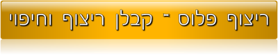 ריצוף פלוס - כל עבודות הריצוף