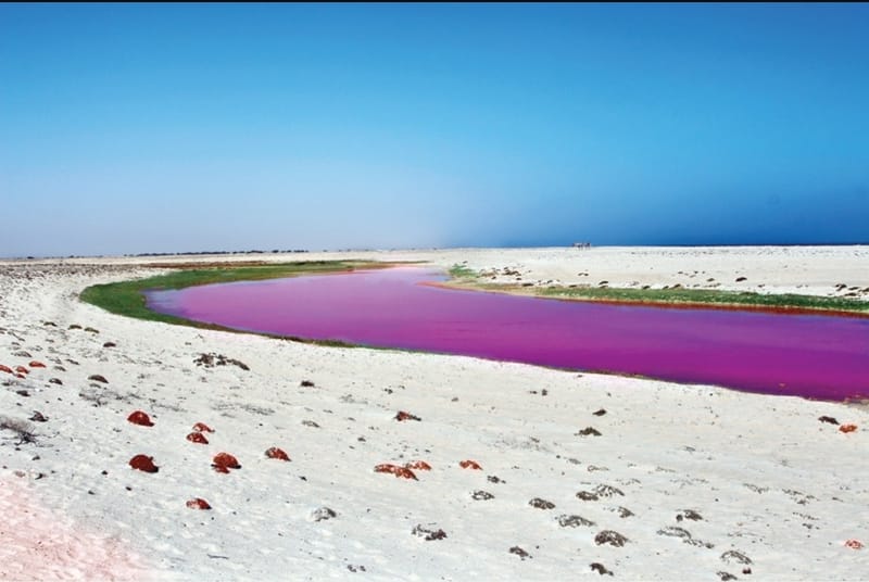 The Pink Lakes of Oman