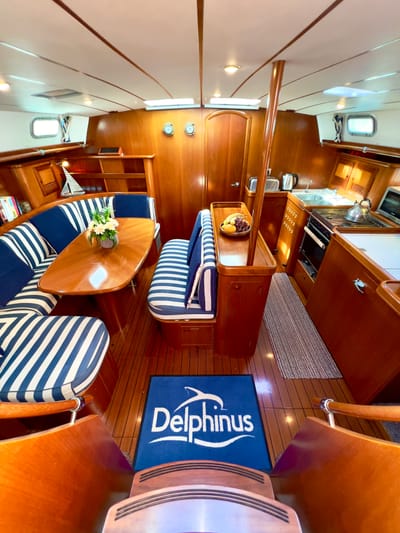 Yacht Delphinus image
