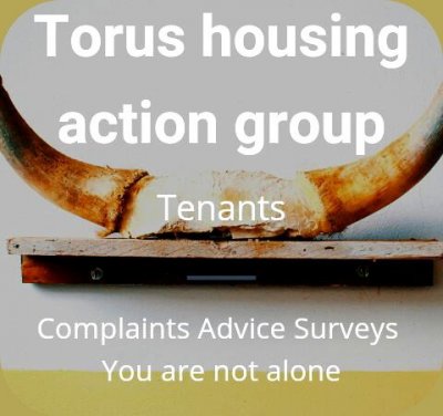 Intro We are here torus