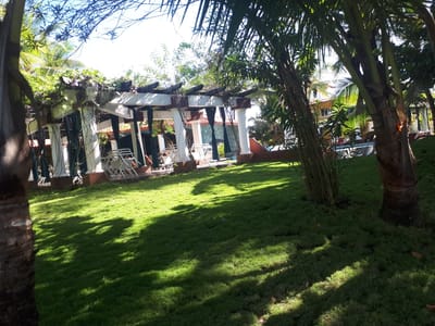 Hotel Las Olas Resort image