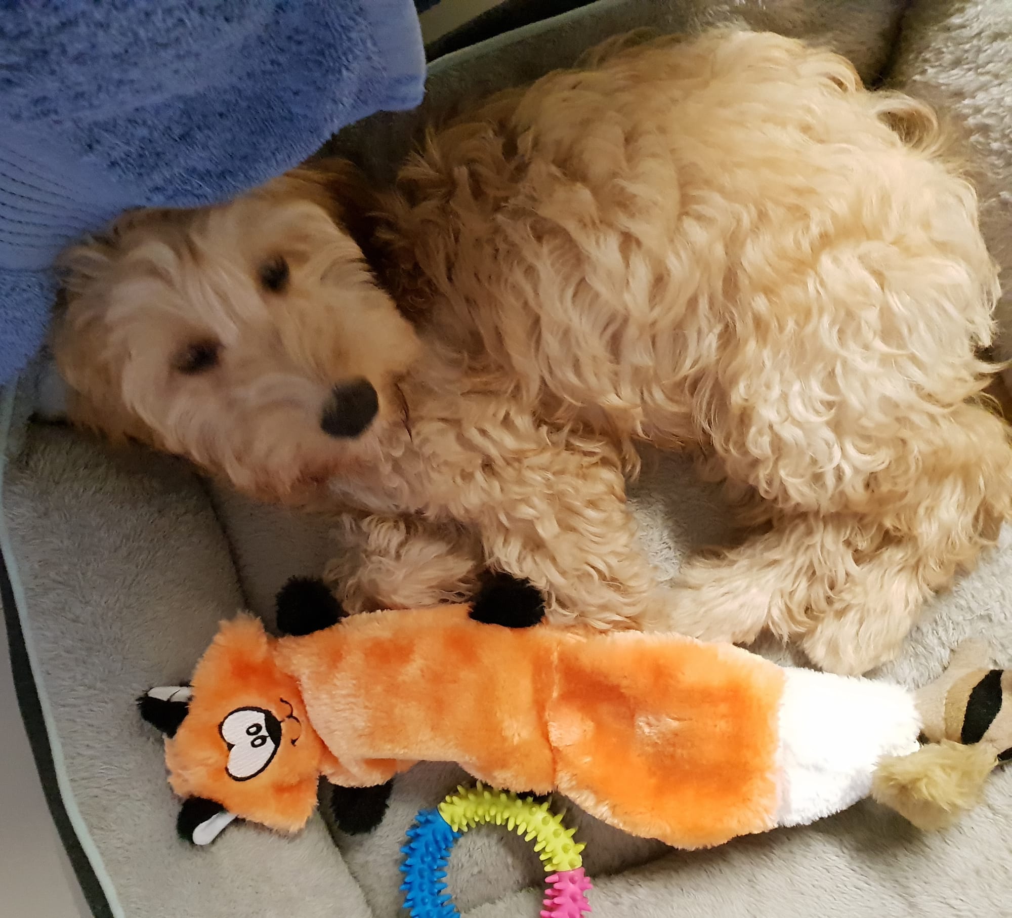 Jimmy with his new toy