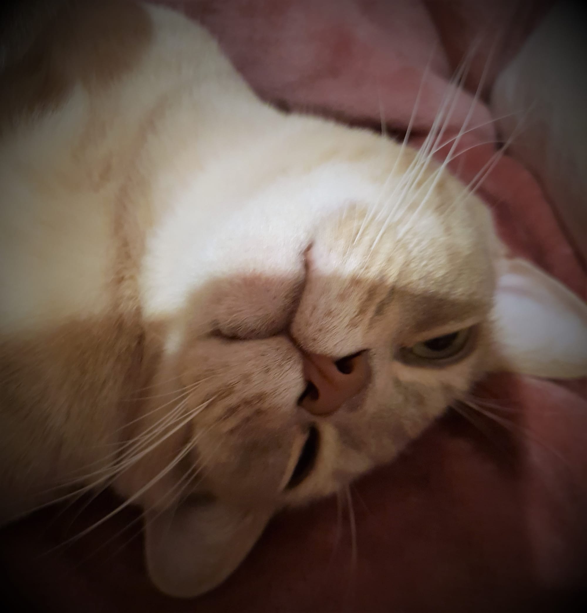 Tom enjoying himself