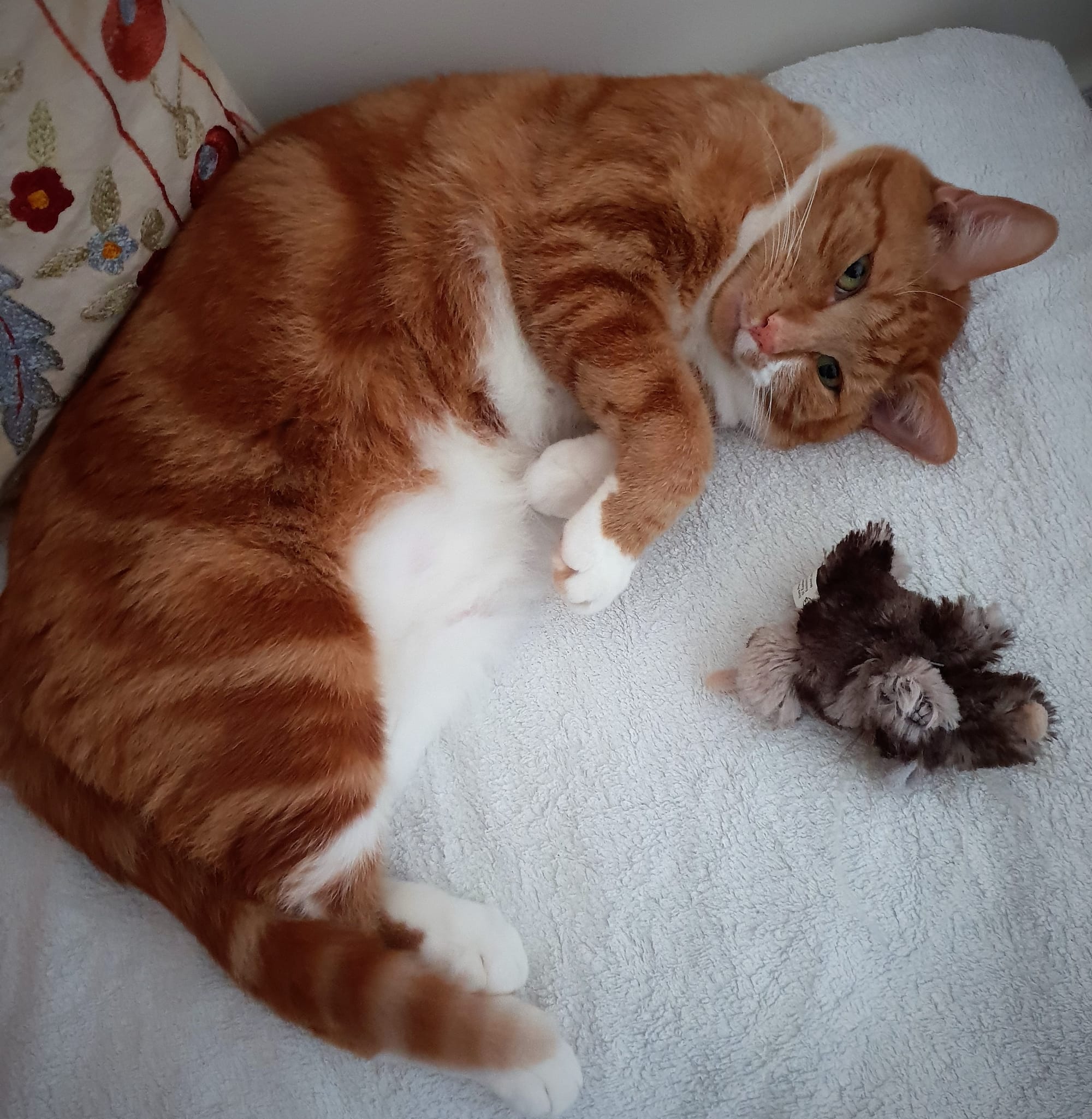 Rusty feeling very comfortable