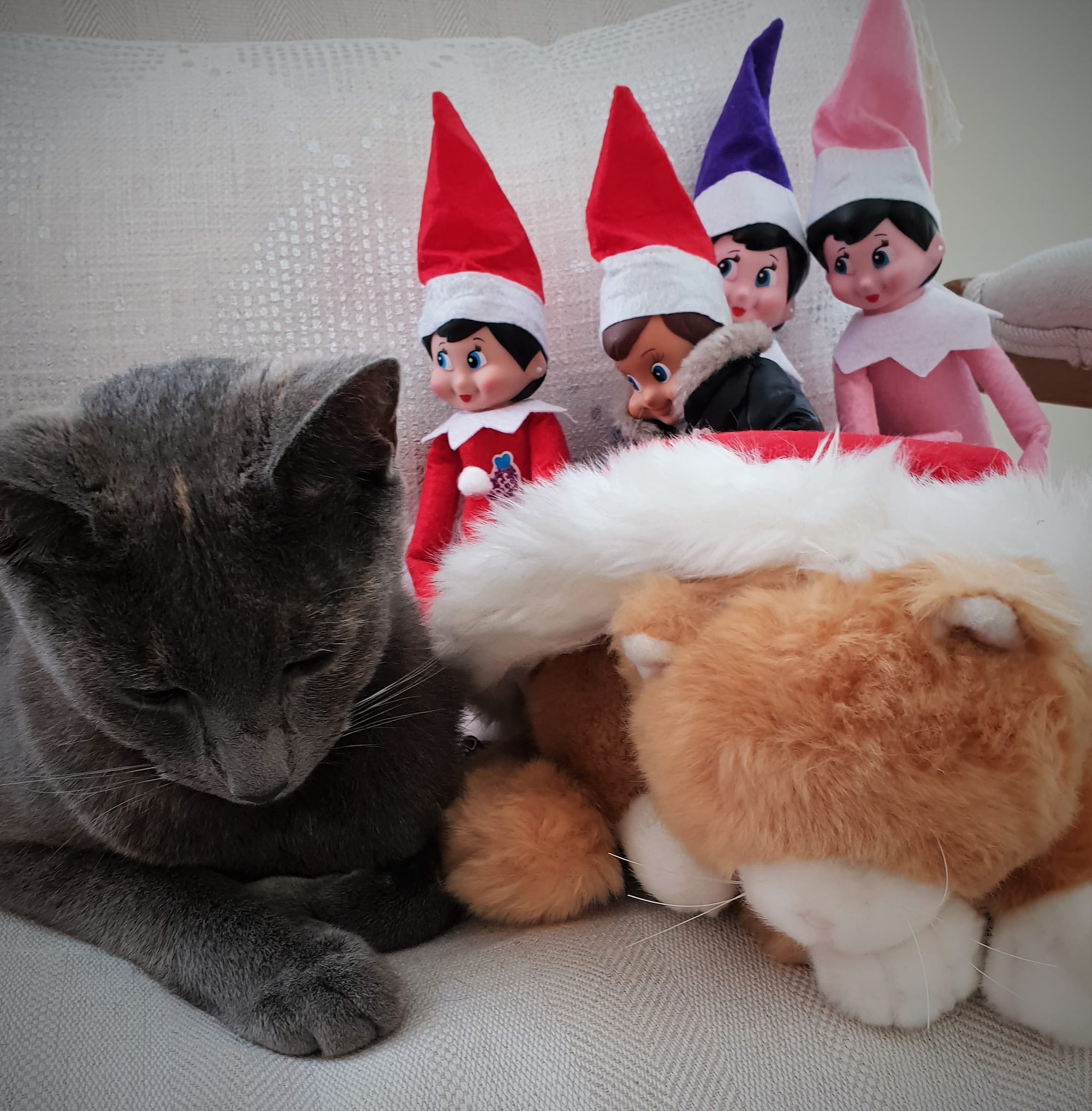 Santa's little helpers