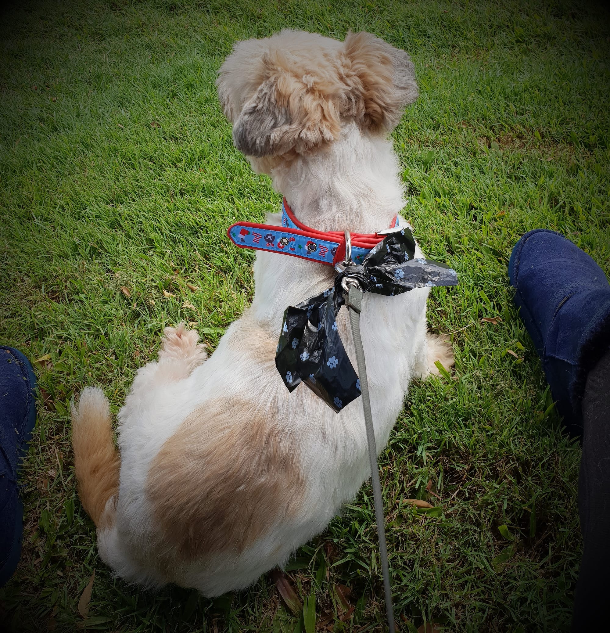 Have to stop & rest, otherwise you will carry me back home, as you normally do