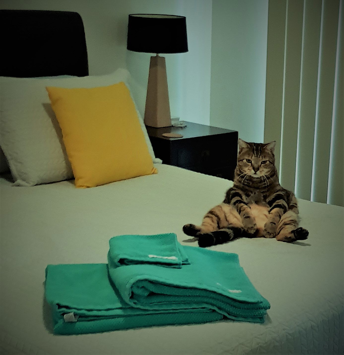 George rules in the bedroom