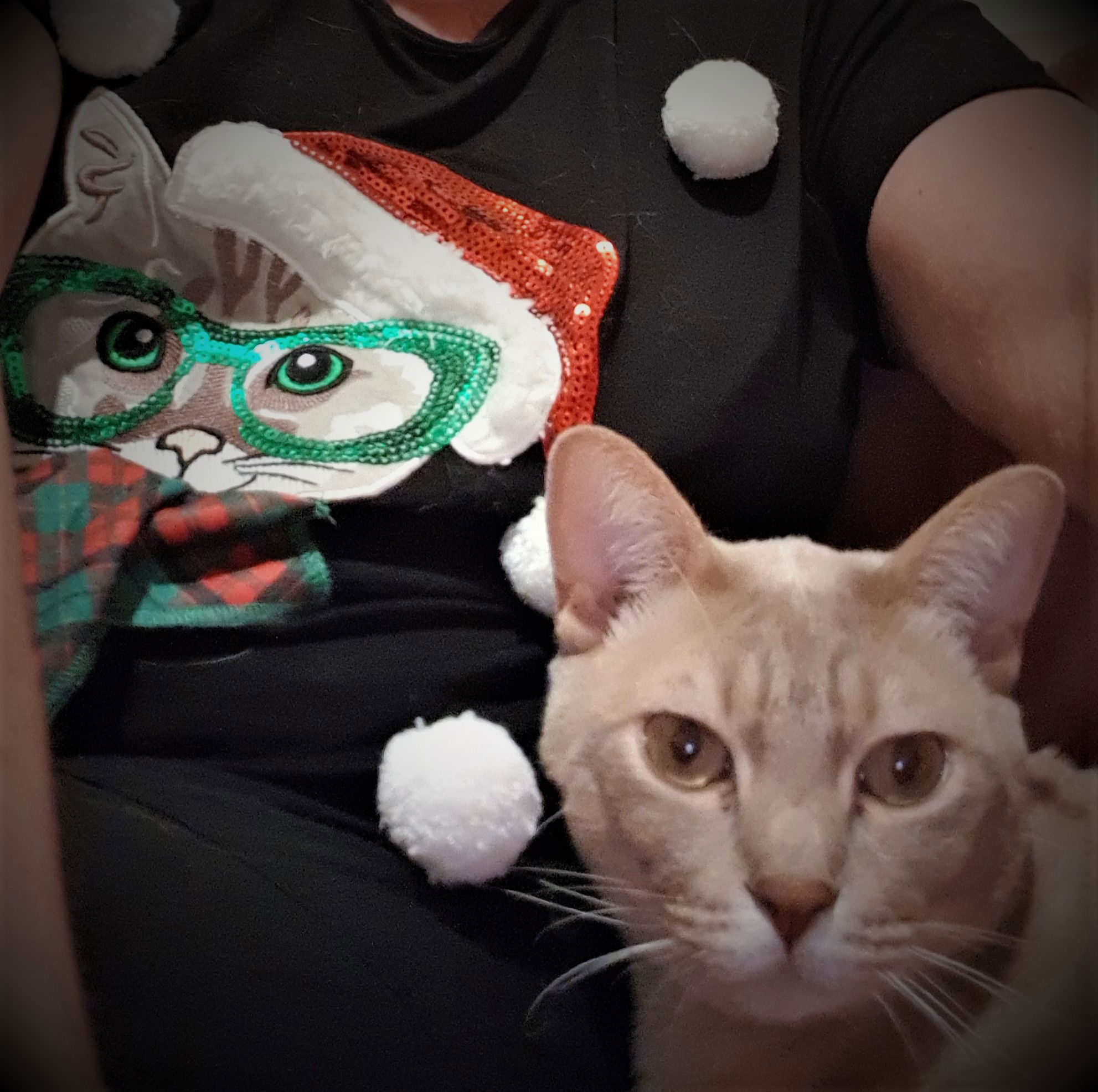 I am prettier, says Tom....