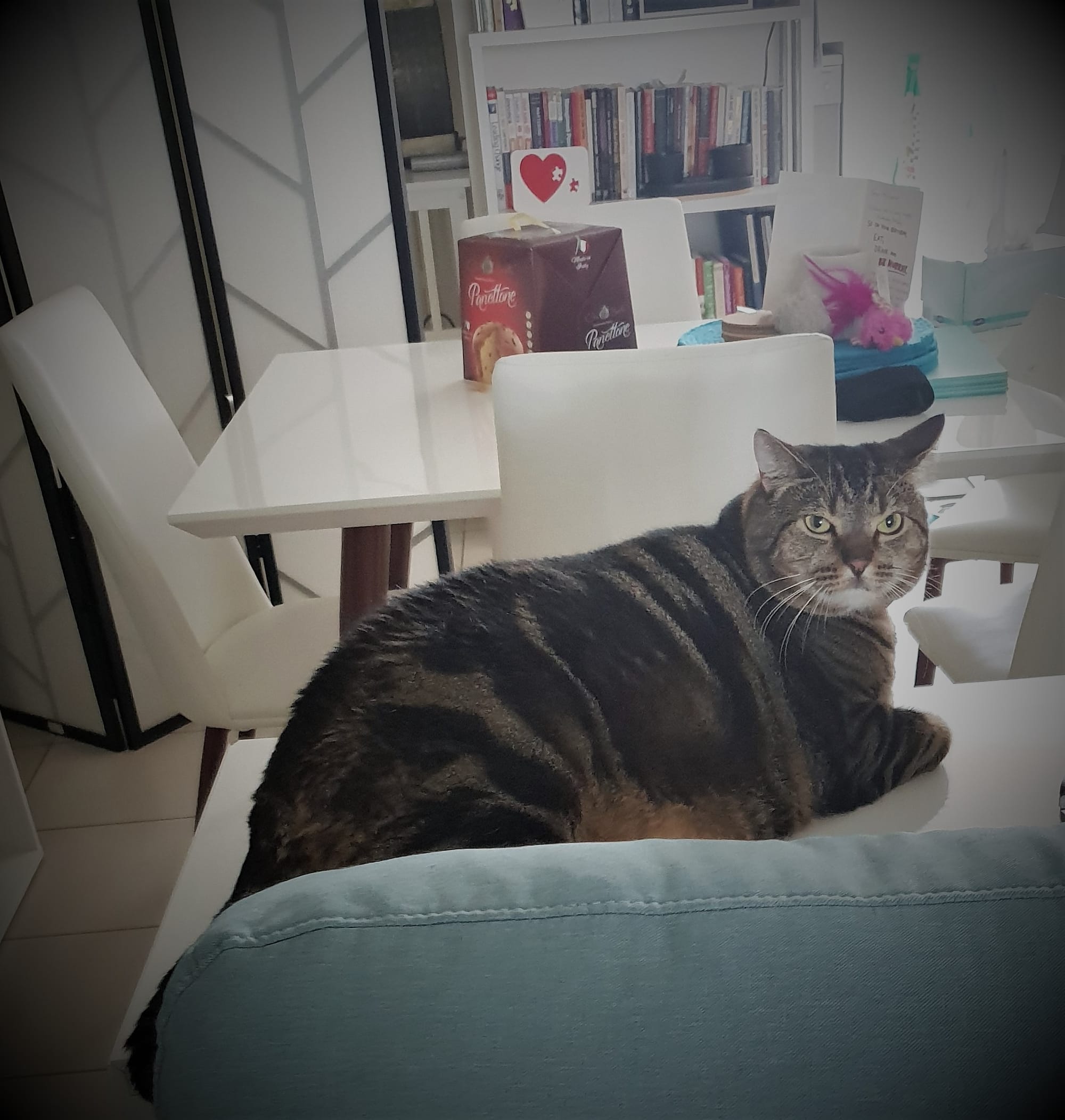 I feel a bit full after the christmas lunch