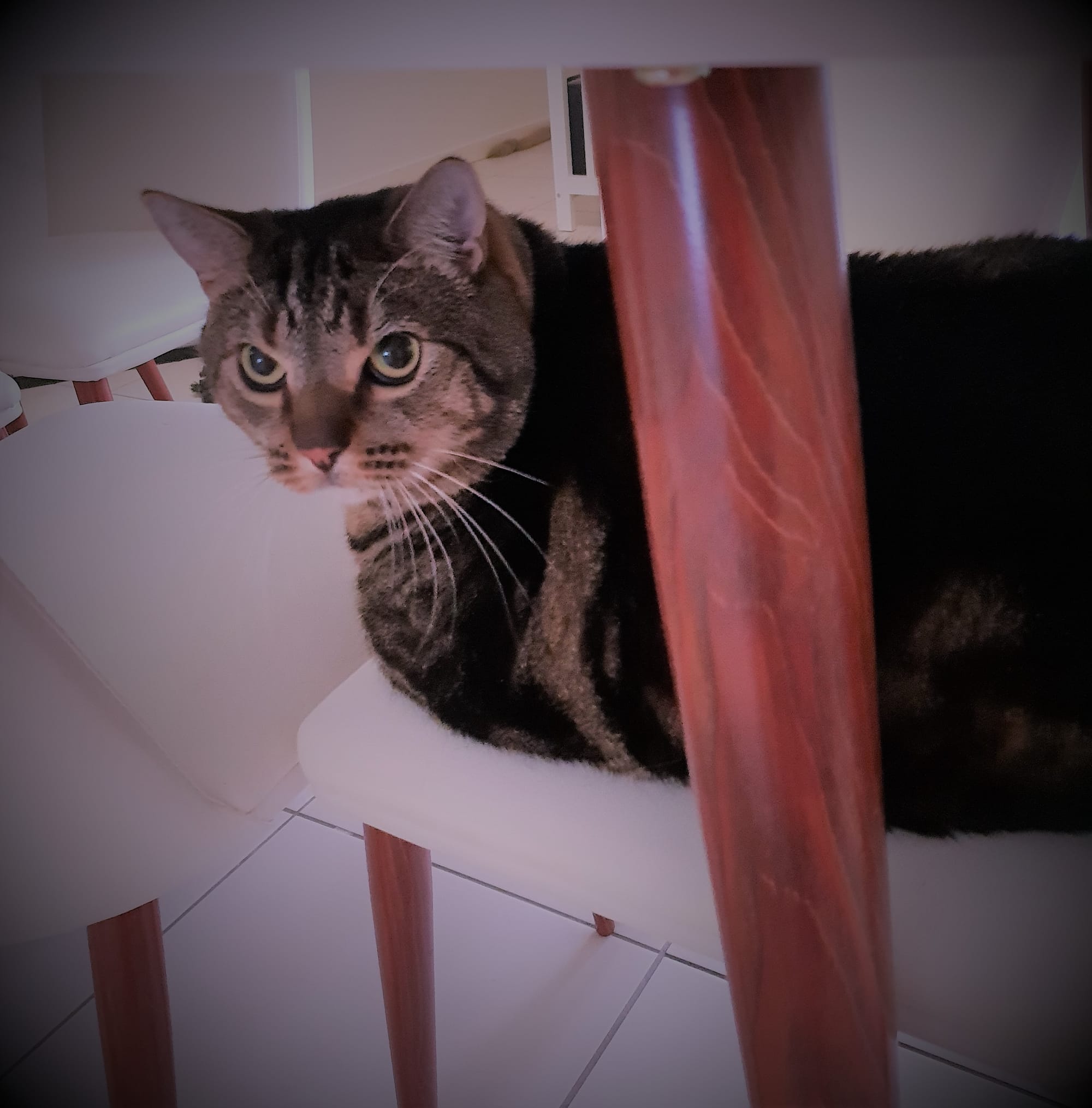 I booked my chair in advance