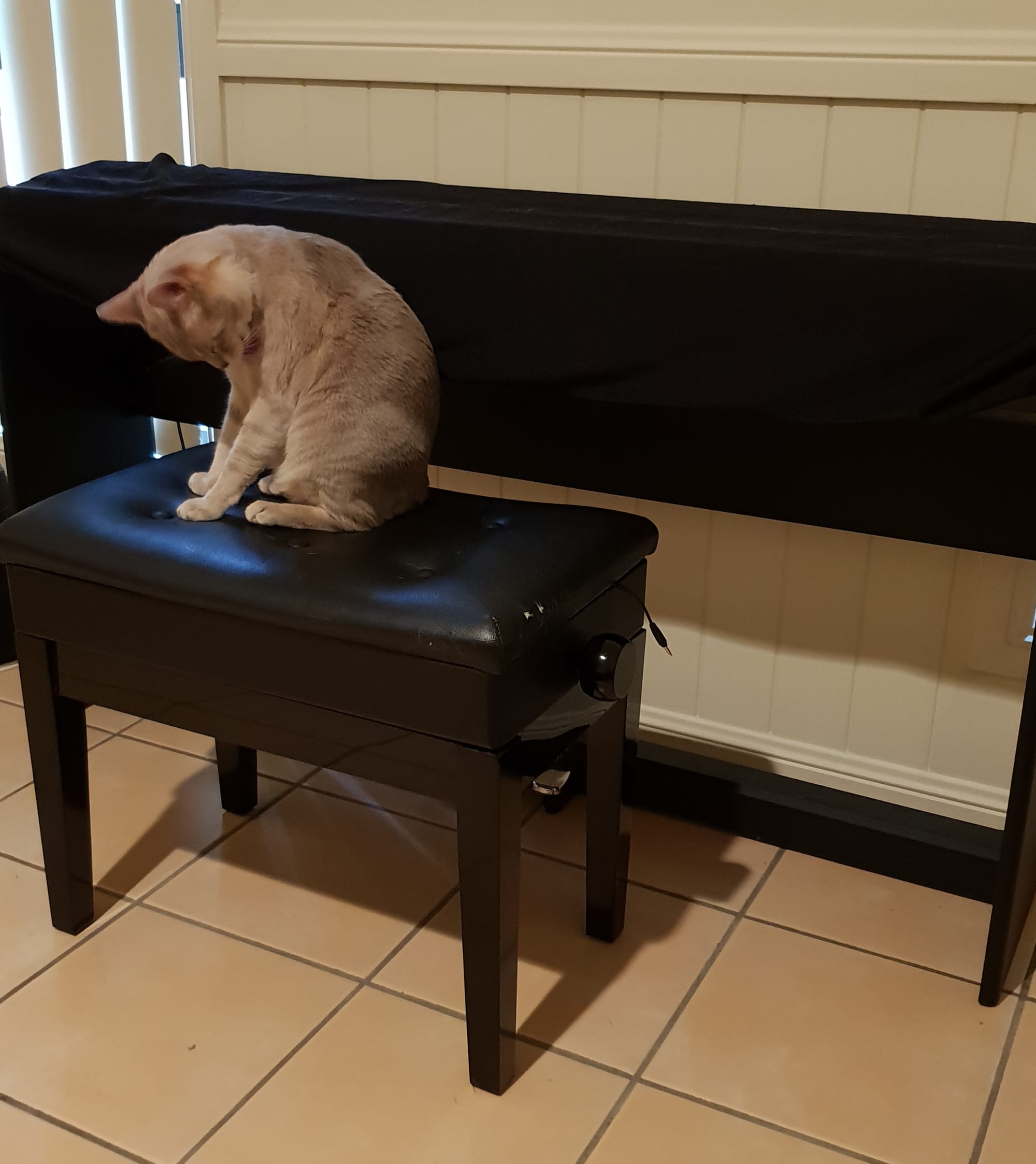 I am getting ready for the concert, personal presentation is very important