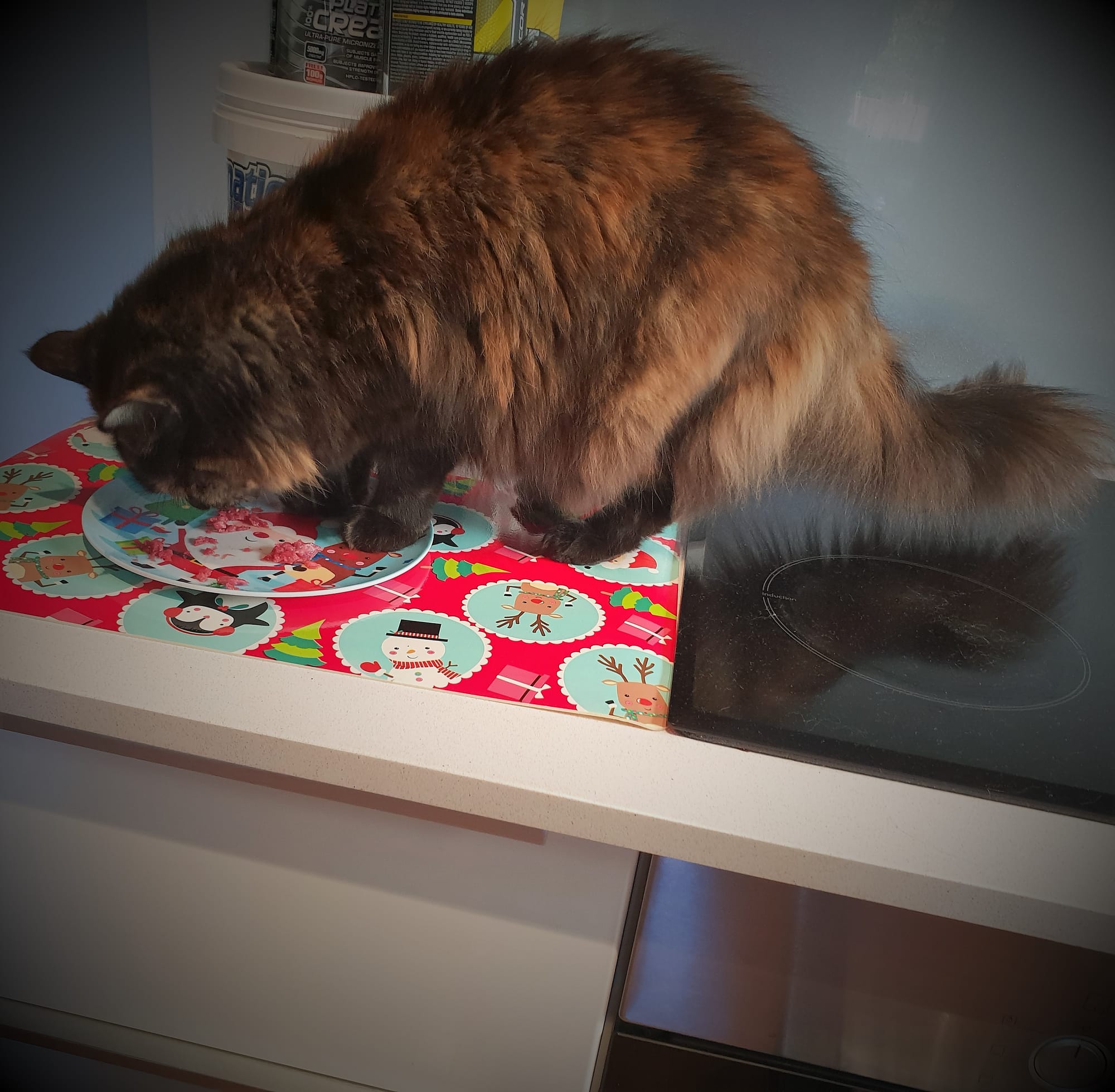 Festive dinner set for Mango