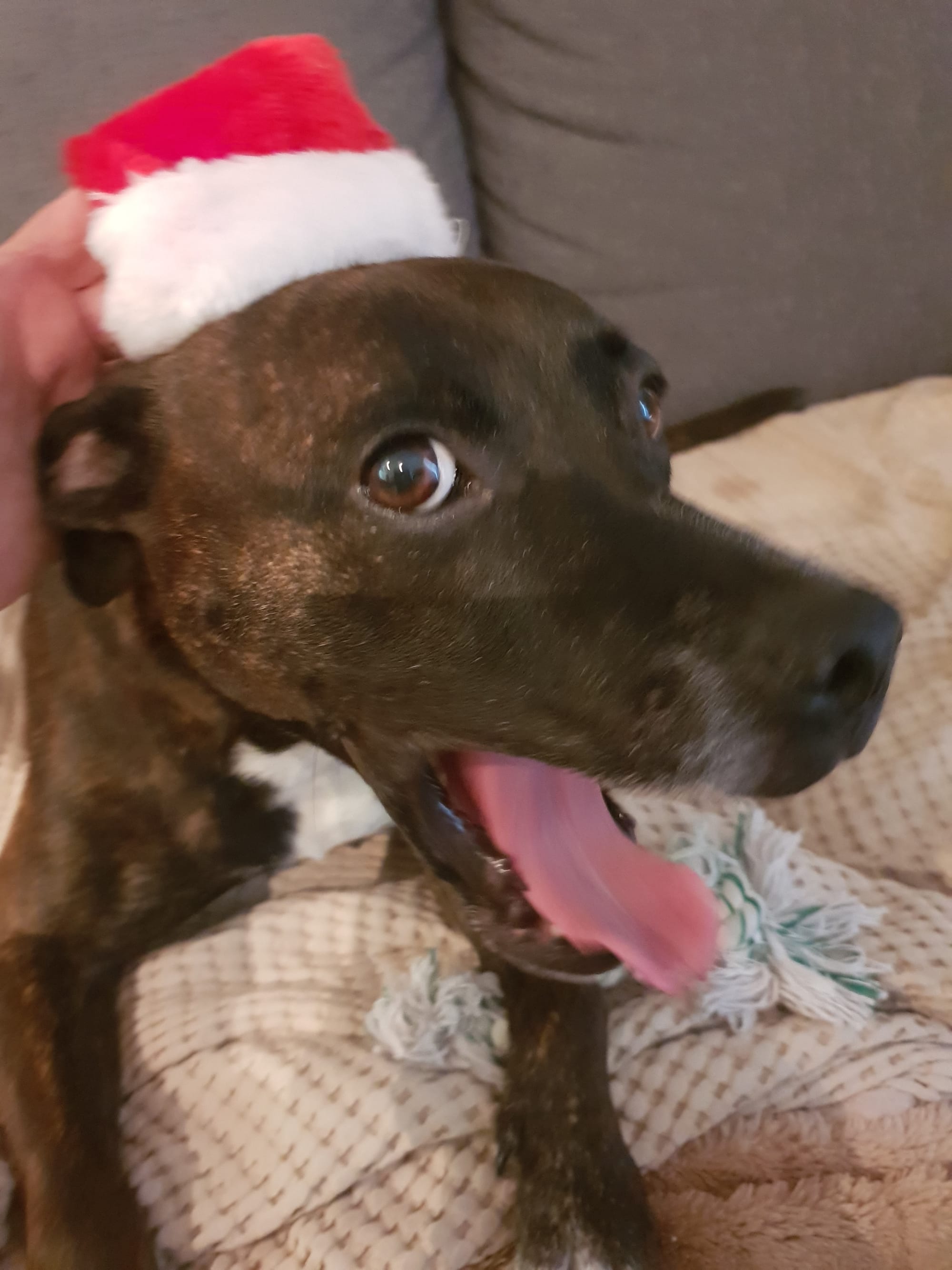 This Santa doesn't suit me, glad you didn't really put it on me...just for prop