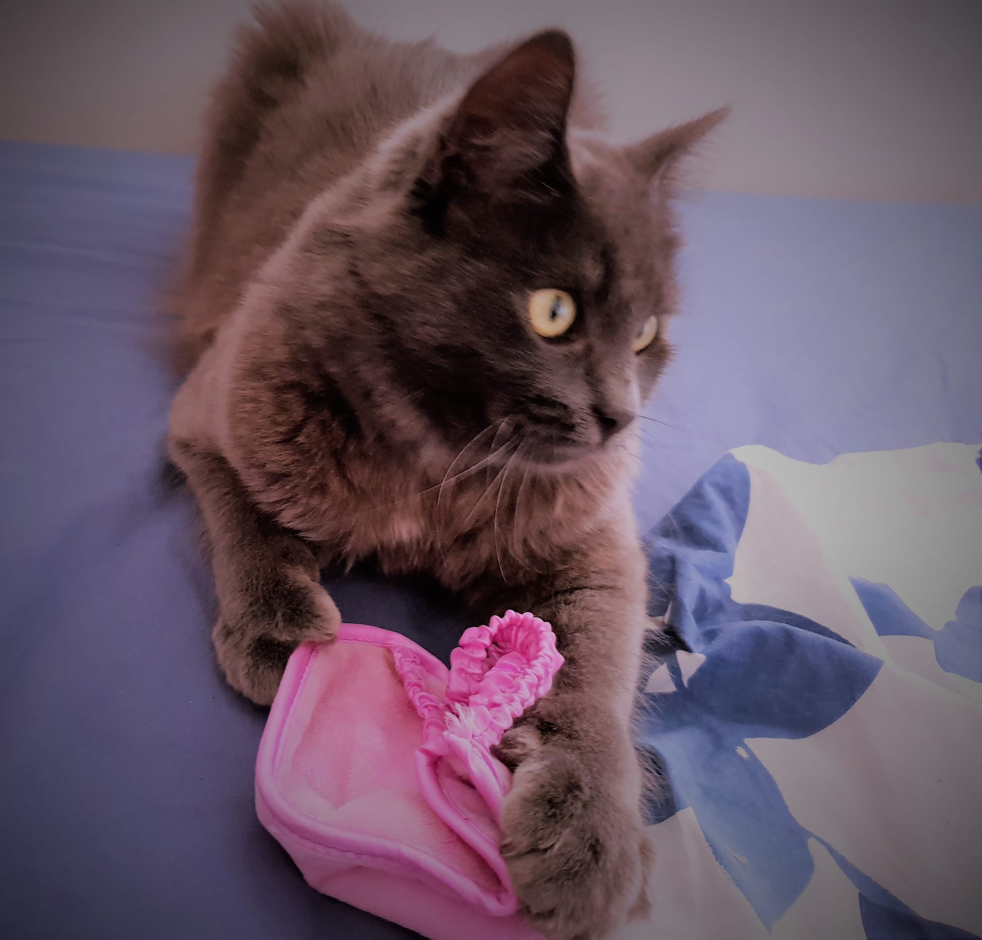 Don't like this eye mask