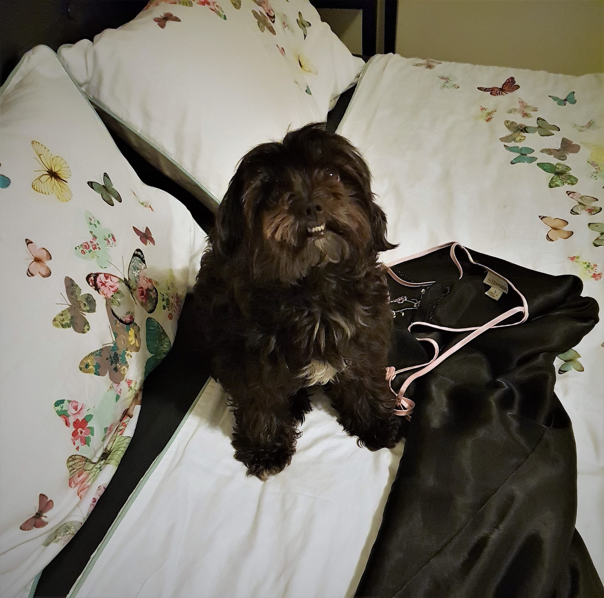 Waiting for you & warm up your bed