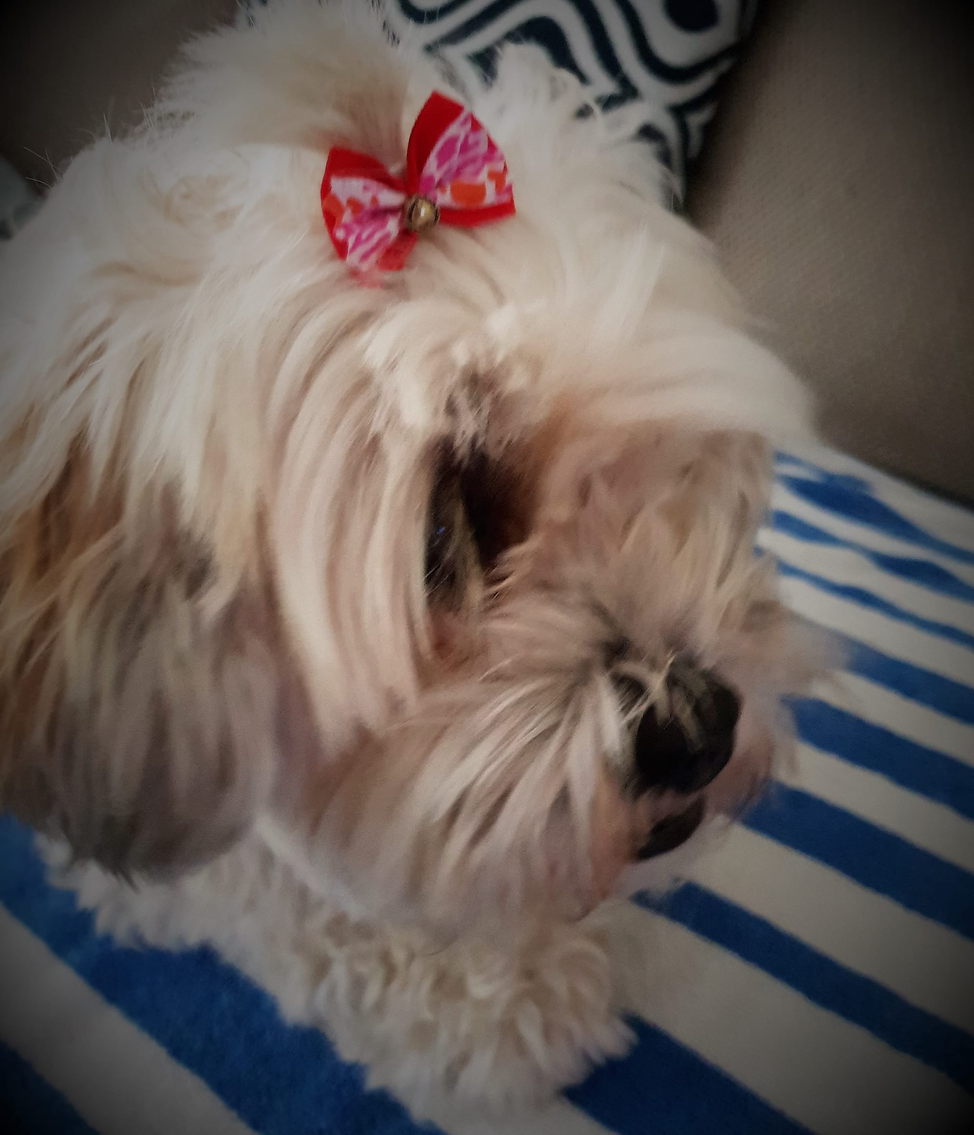 This bow makes me look even more feminine