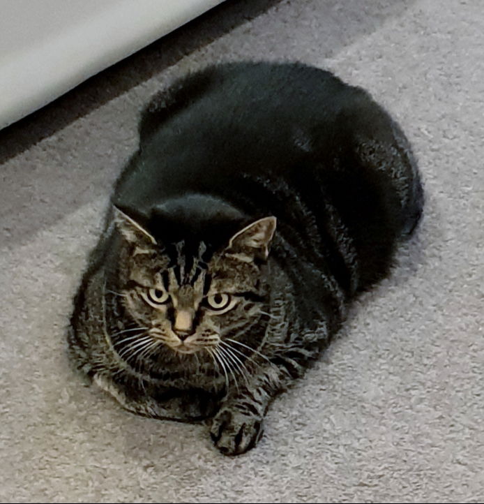 Am the one in charge here