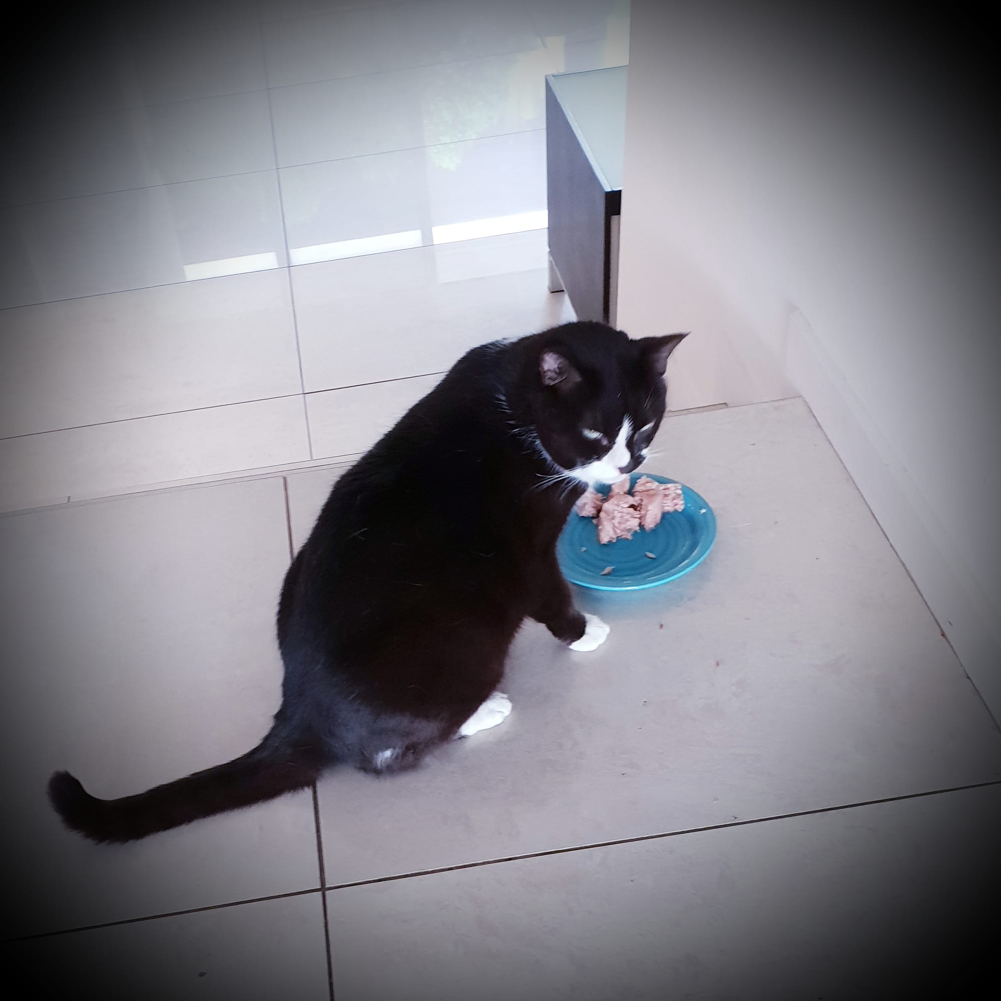 Don't bother me, whilst having my meal