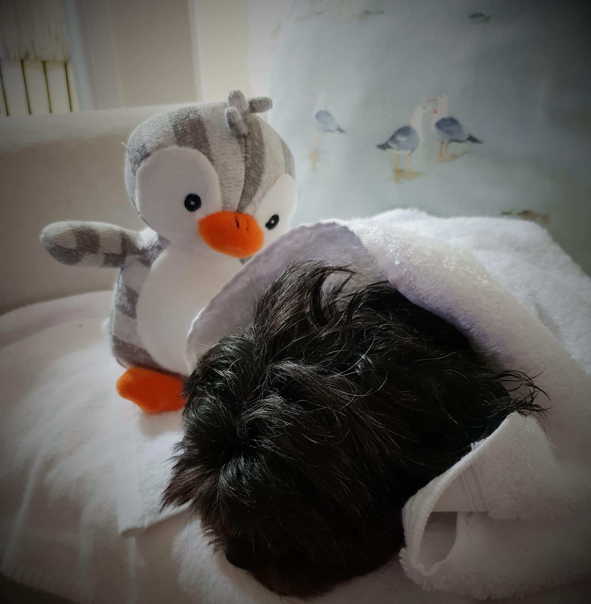 I can help dry your back, Barney...says the penguin baby toy