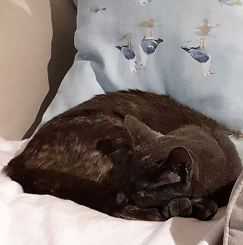 RIP - rest in comfort