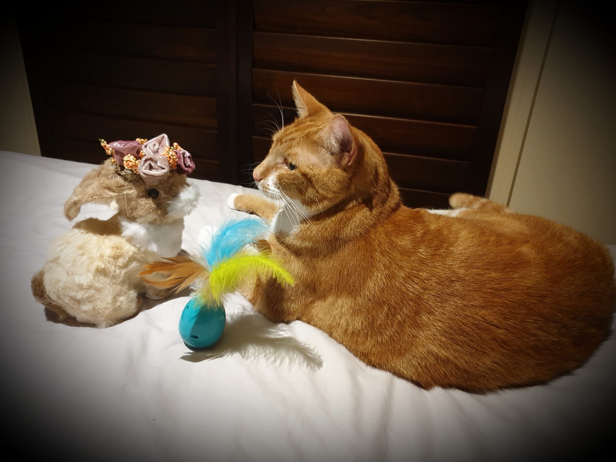 Rusty posing for Easter card