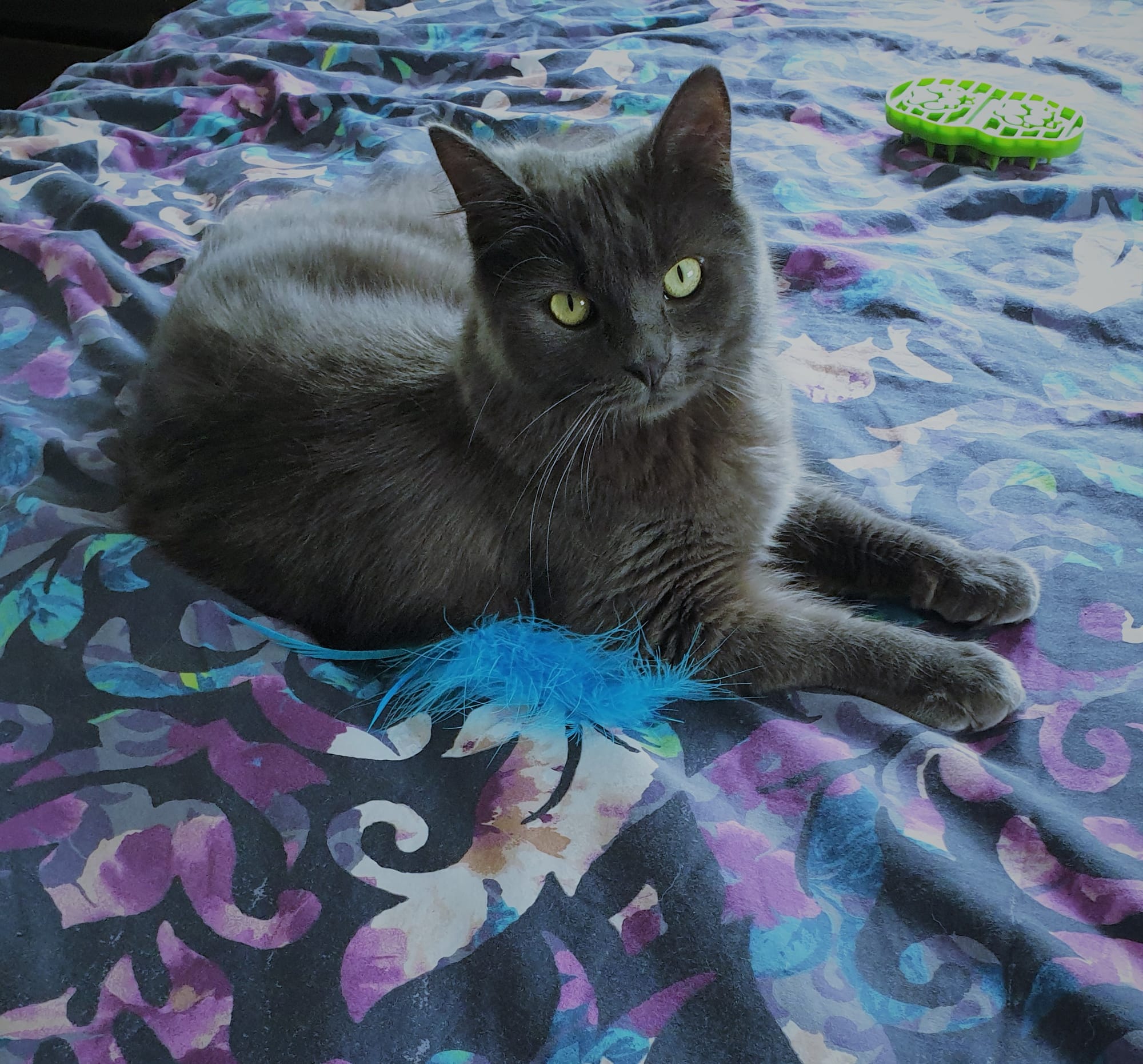 One more pose for you, because I know how adorable I look...