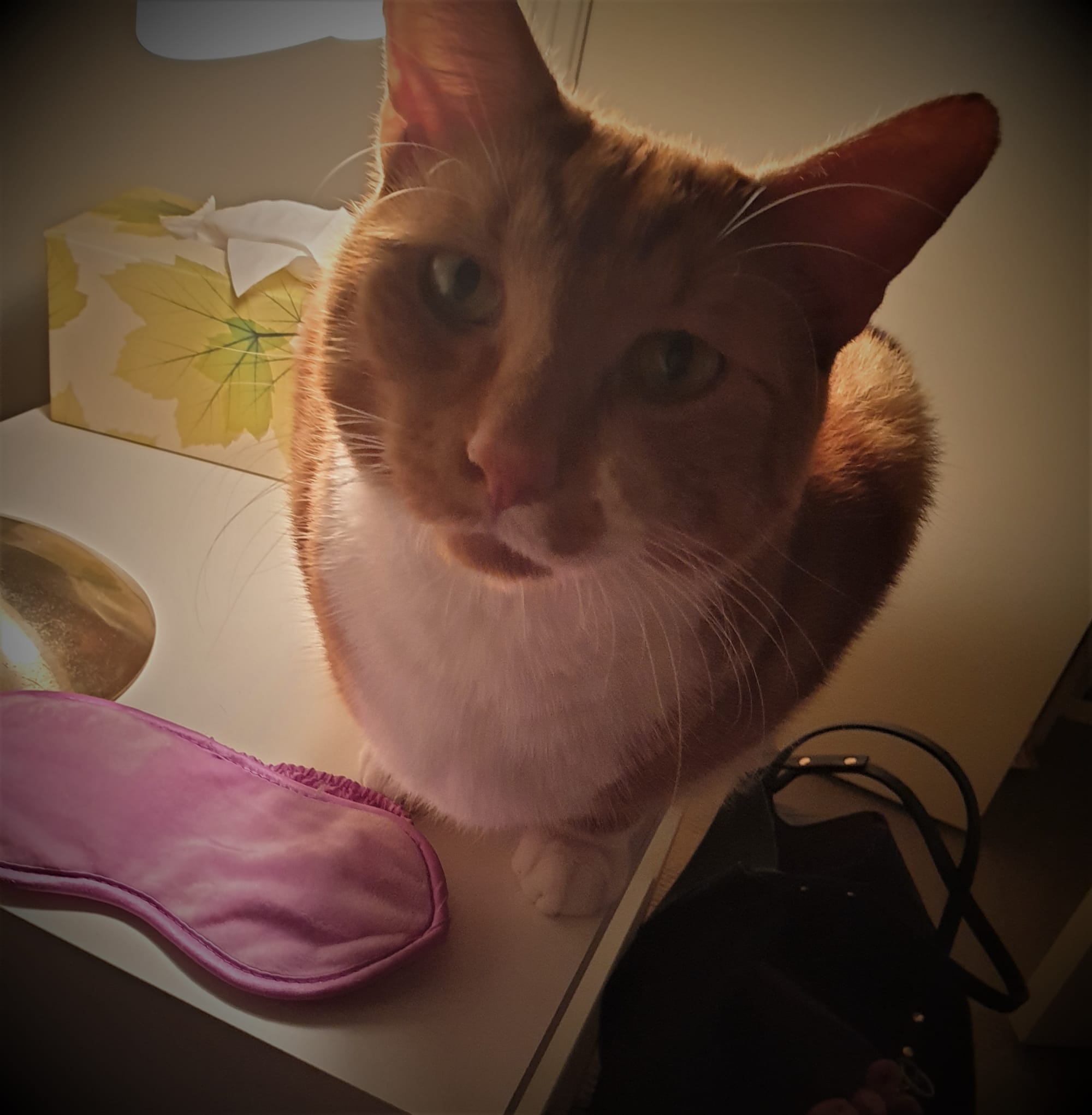 Look at me, says Rusty