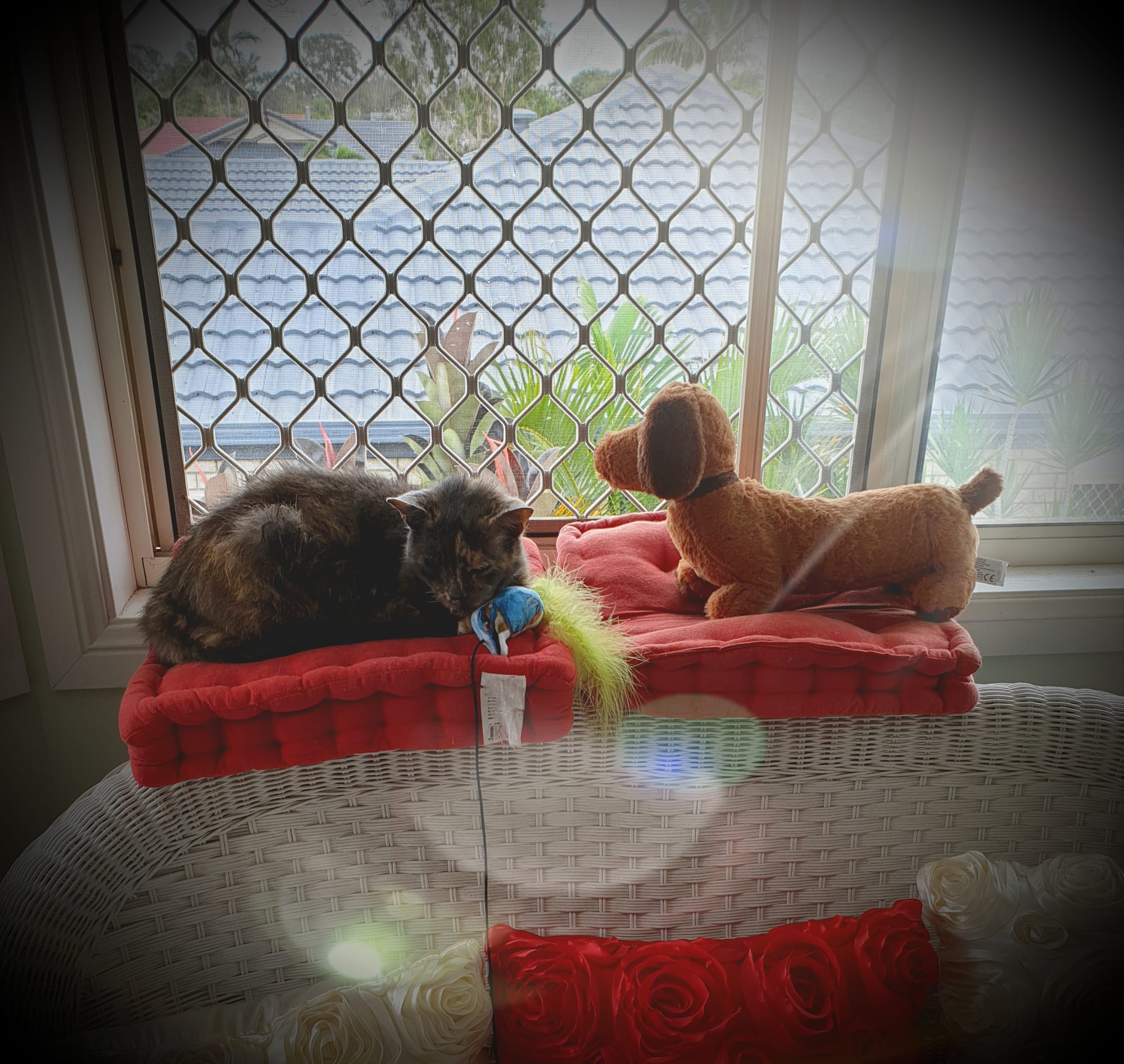 Marbles with toy puppy