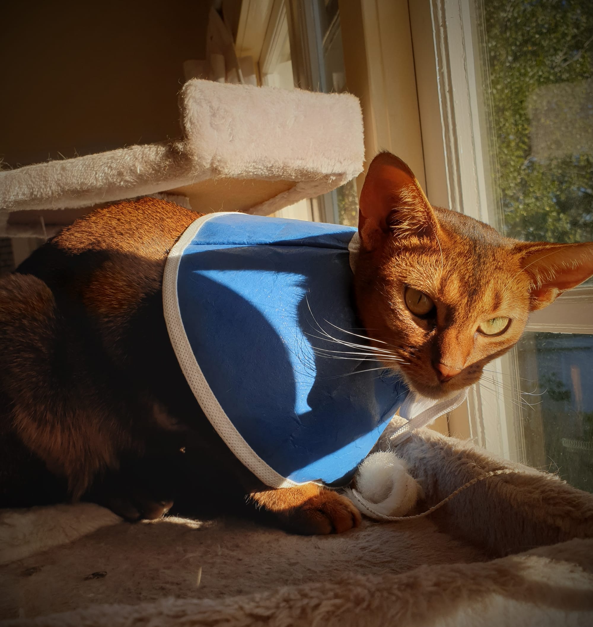 This lookout is even higher