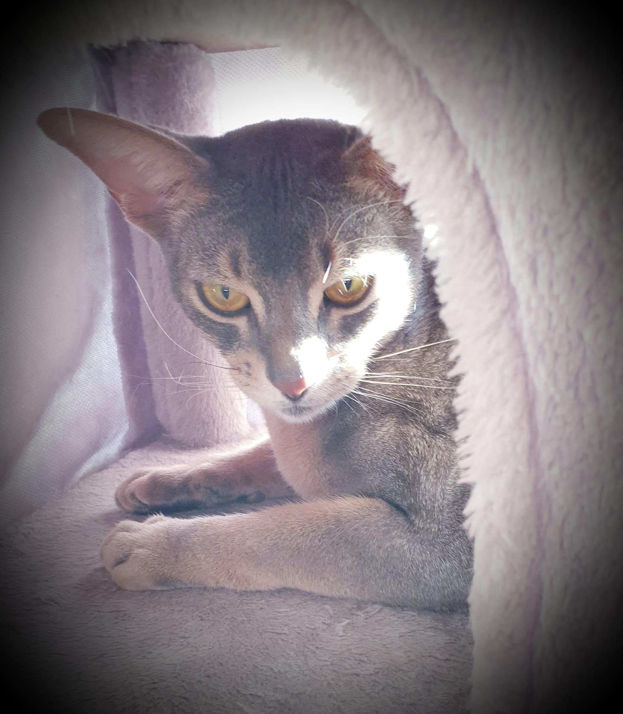 This is my little condo