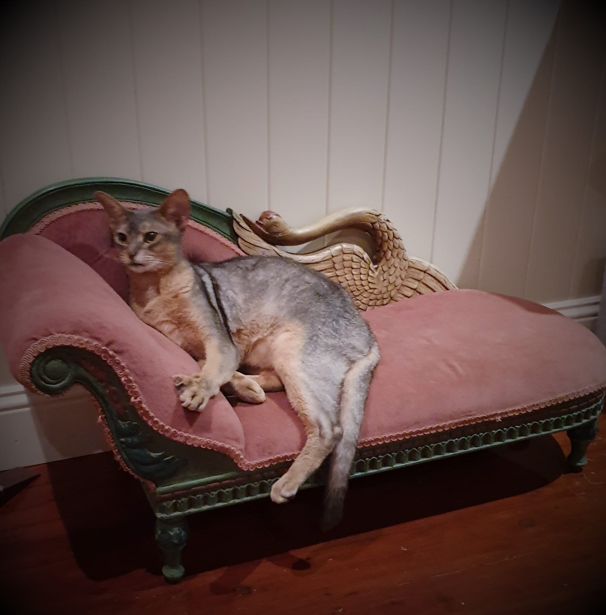 This is a very comfy sofa