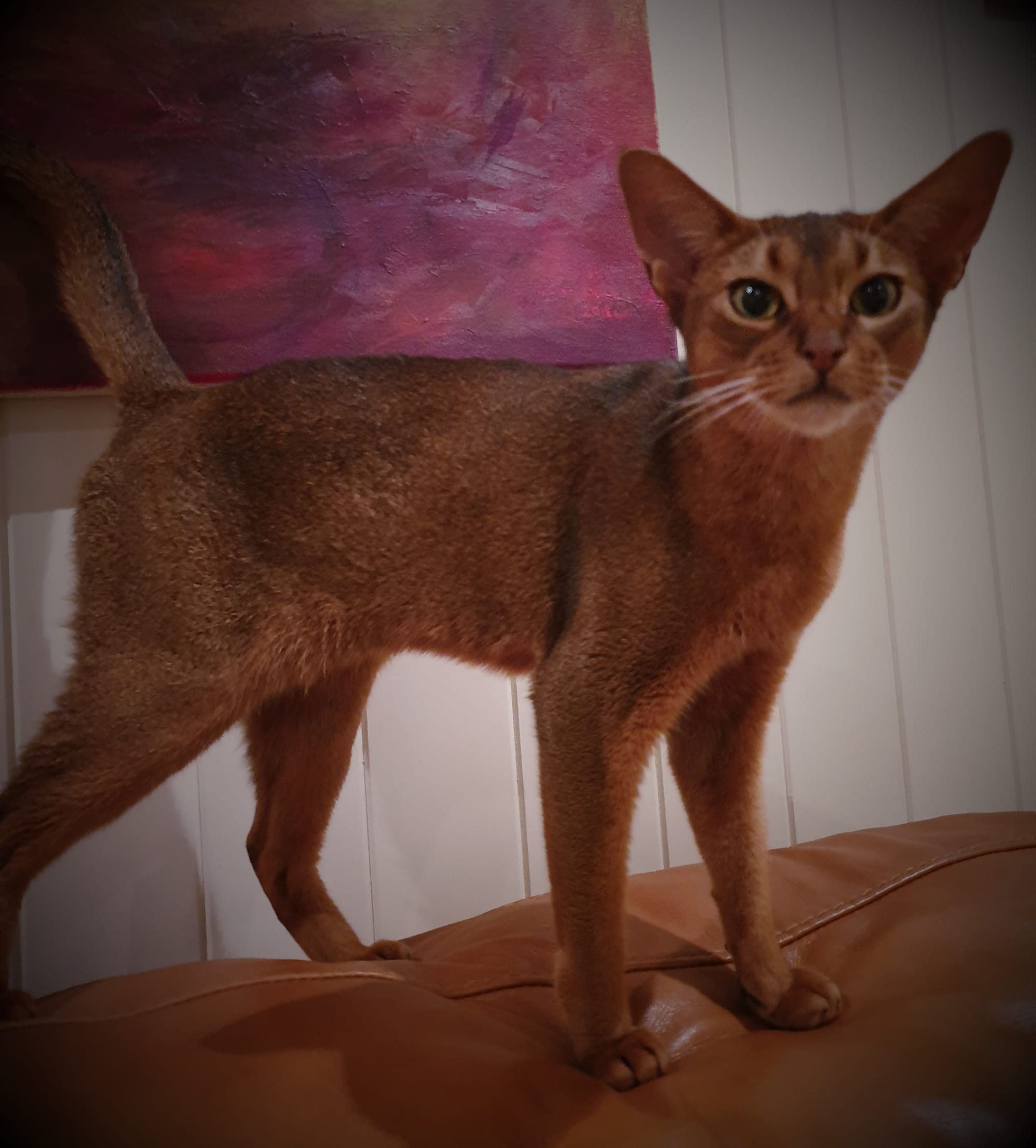 I  think this painitng on the wall suits me as a background