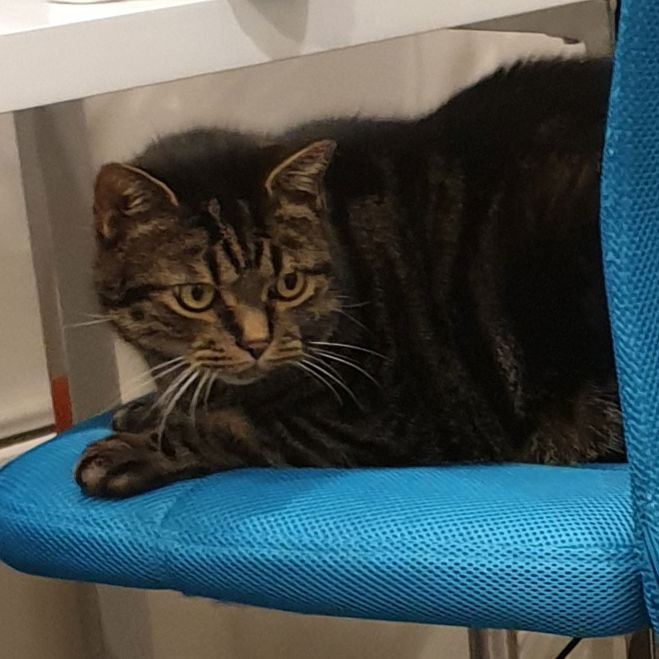 Greasy is running his business from the home office