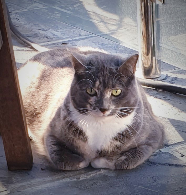 Coco