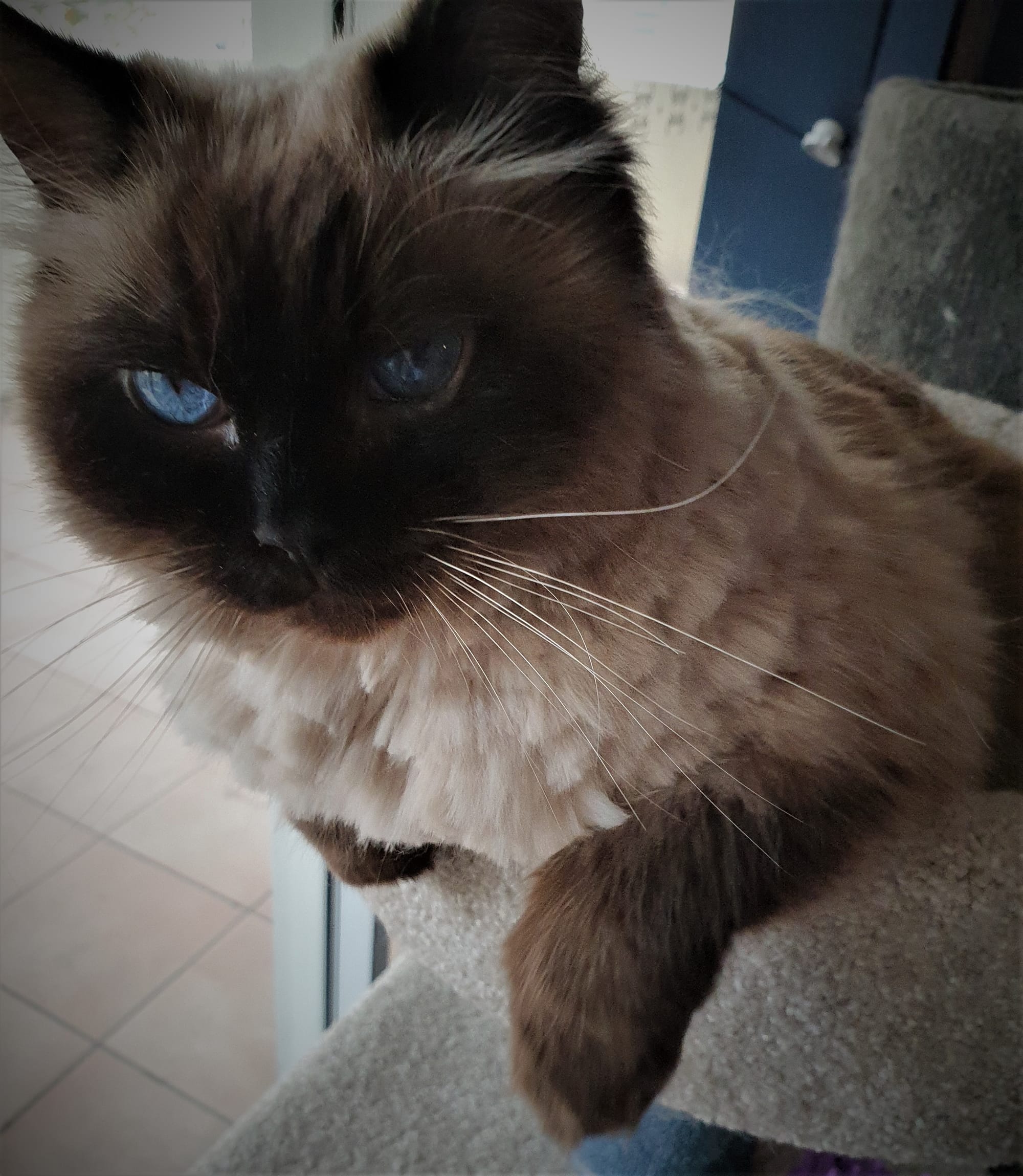 Melody loves her lookout